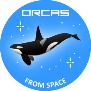 Logo-ORCAs-2B-FROM-SPACE