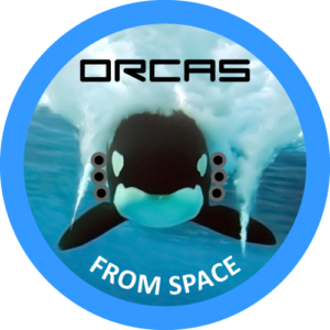 Logo-ORCAs-4B-FROM-SPACE